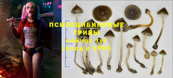 марихуана Баксан