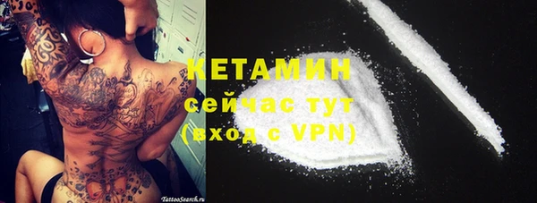 трава Аркадак