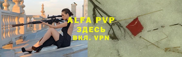 трава Аркадак