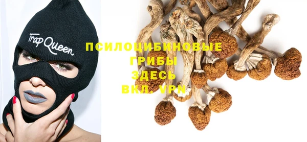 марихуана Баксан