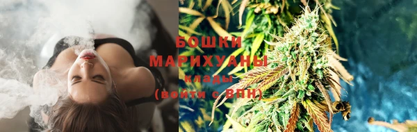 трава Аркадак
